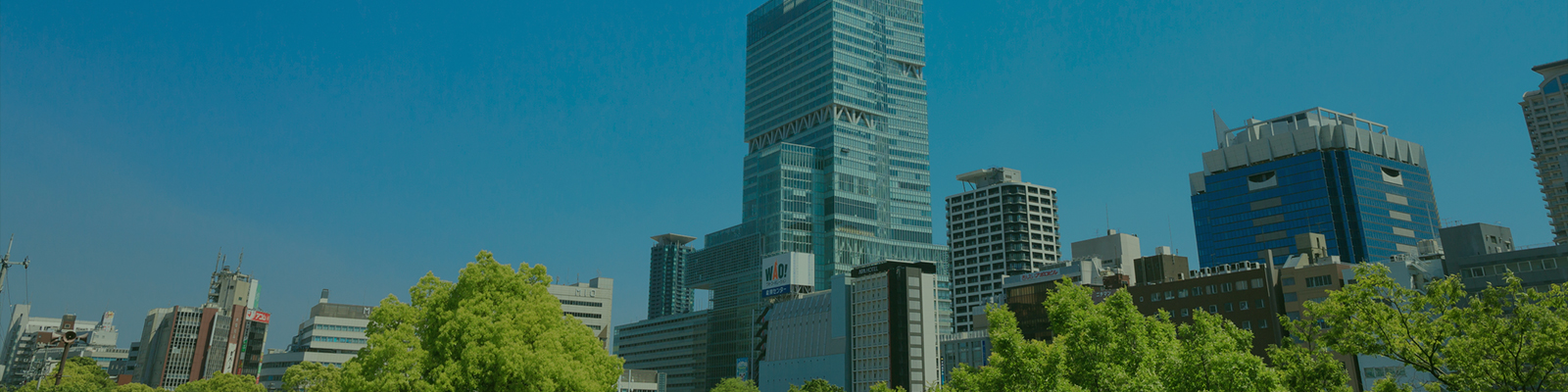 東京圏・大阪圏の将来性
